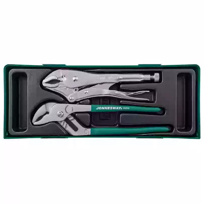 Bộ 2 kìm chết và kìm mỏ quạ 10 inch